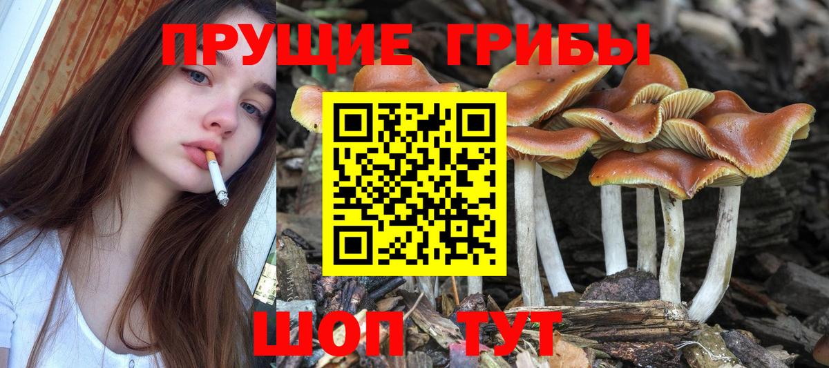 Псилоцибиновые грибы мухоморы Заволжье
