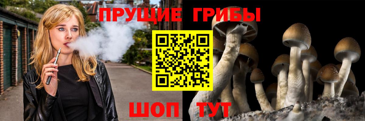 Галлюциногенные грибы Psilocybe  Псилоцибиновые грибы Psilocybe  Заволжье  Вход с VPN 